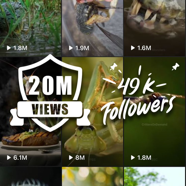 Portfolio Social Thumbnail